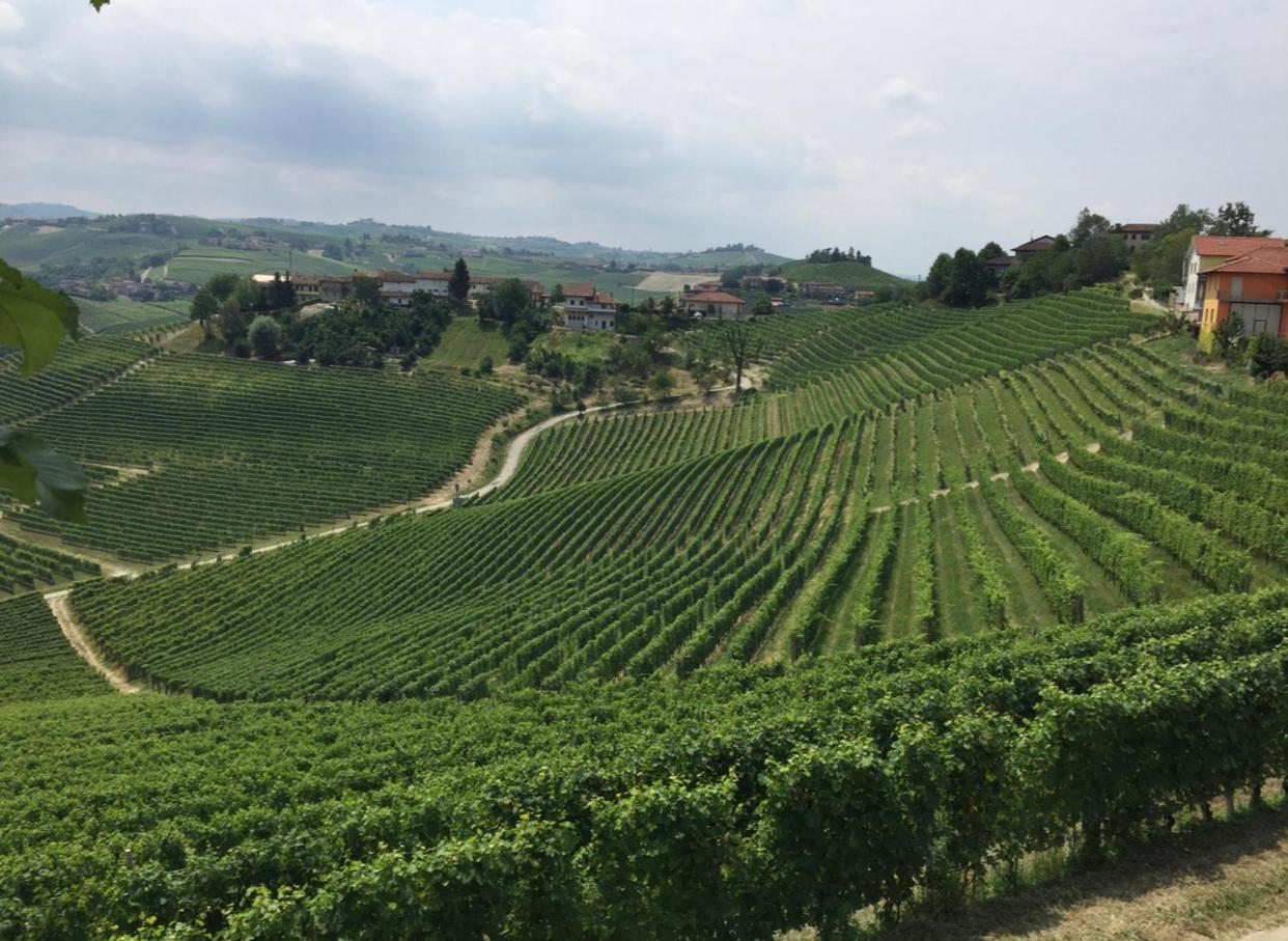 Castello Stella Vaglio Serra Βίλα Εξωτερικό φωτογραφία